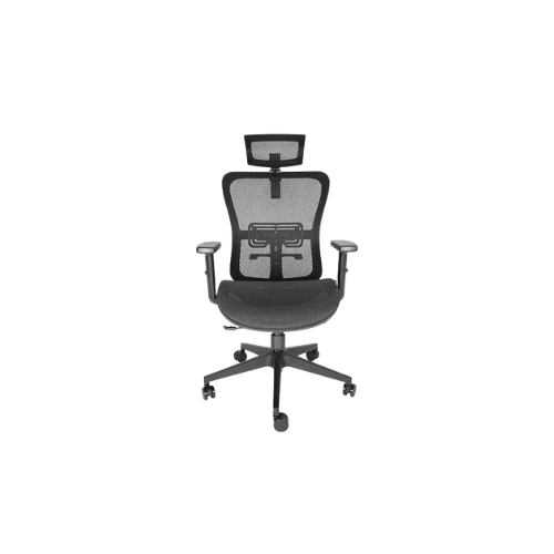 SILLA EJECUTIVA DRACO OHE-605 NEGRO