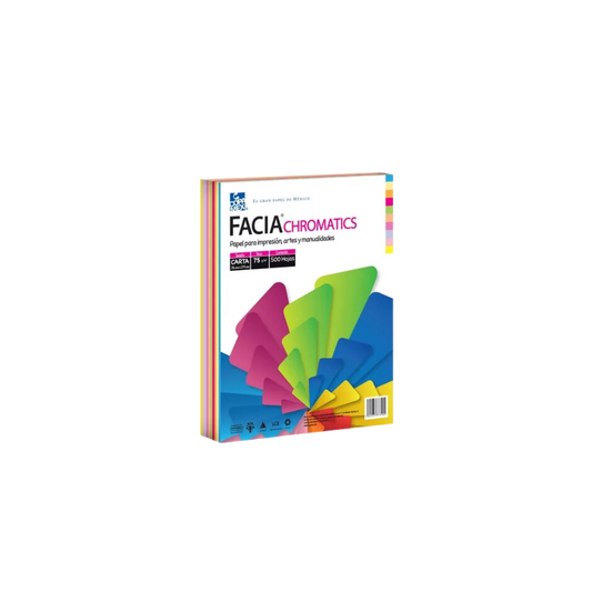PAPEL BOND TAMAÑO CARTA 1 RESMA CON 500 HOJAS DE COLORES VARIADOS A8339075011E2TC