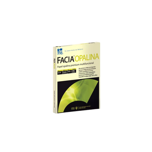 PAPEL OPALINA MARFIL CARTA COPAMEX 120GR 1 RESMA CON 100 HOJAS A6022120011A0FC
