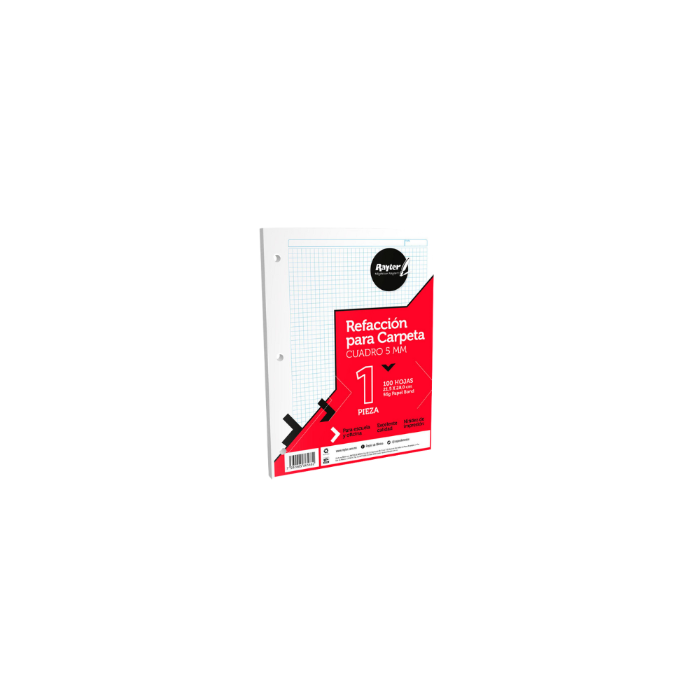 HOJAS DE REPUESTO MARCA RAYTER PARA CARPETA CUADRO CHICO TAMAÑO CARTA PAQUETE CON 100 HOJAS 03CATCC500