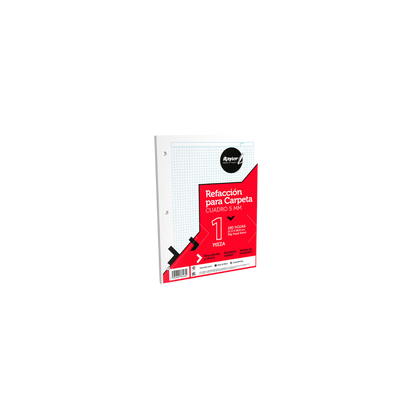 HOJAS DE REPUESTO MARCA RAYTER PARA CARPETA CUADRO CHICO TAMAÑO CARTA PAQUETE CON 100 HOJAS 03CATCC500