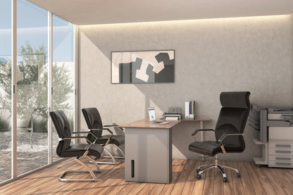 SILLA DIRECTIVA CIANI OHE-305