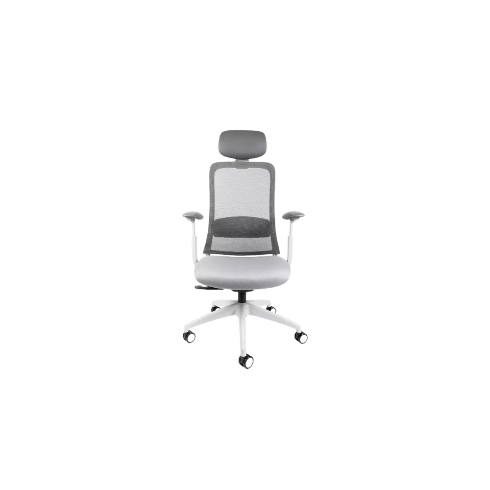 SILLA EJECUTIVA CURVE RE-1570