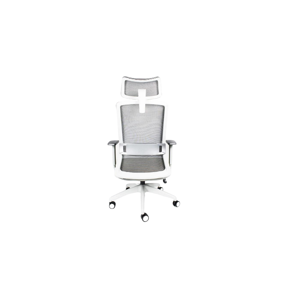 SILLA EJECUTIVA CURVE RE-1570