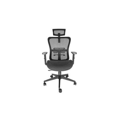 SILLA EJECUTIVA DRACO OHE-605 NEGRO