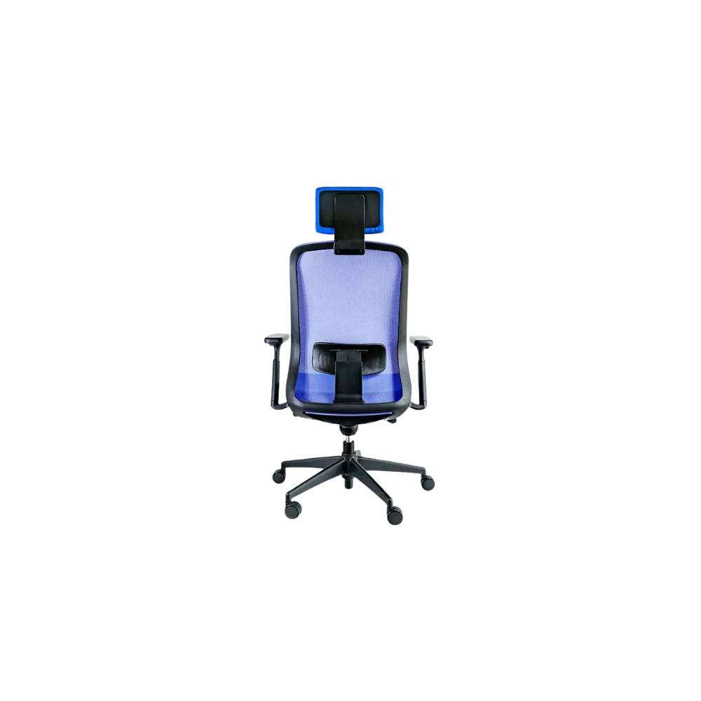SILLÓN EJECUTIVO APOLO CON CABECERA RE-1600