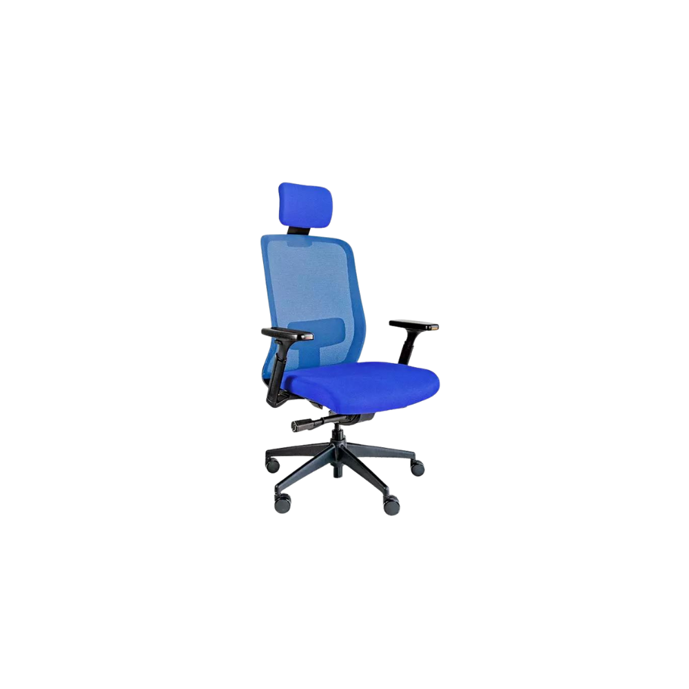 SILLÓN EJECUTIVO APOLO CON CABECERA RE-1600